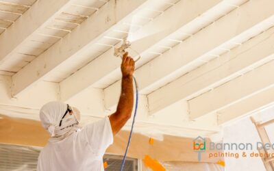 Commercial Painting and Decorating Services from Bannon Decor