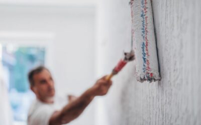 Hire Professional Painters in Laois for Interior Wall Painting Needs This Spring